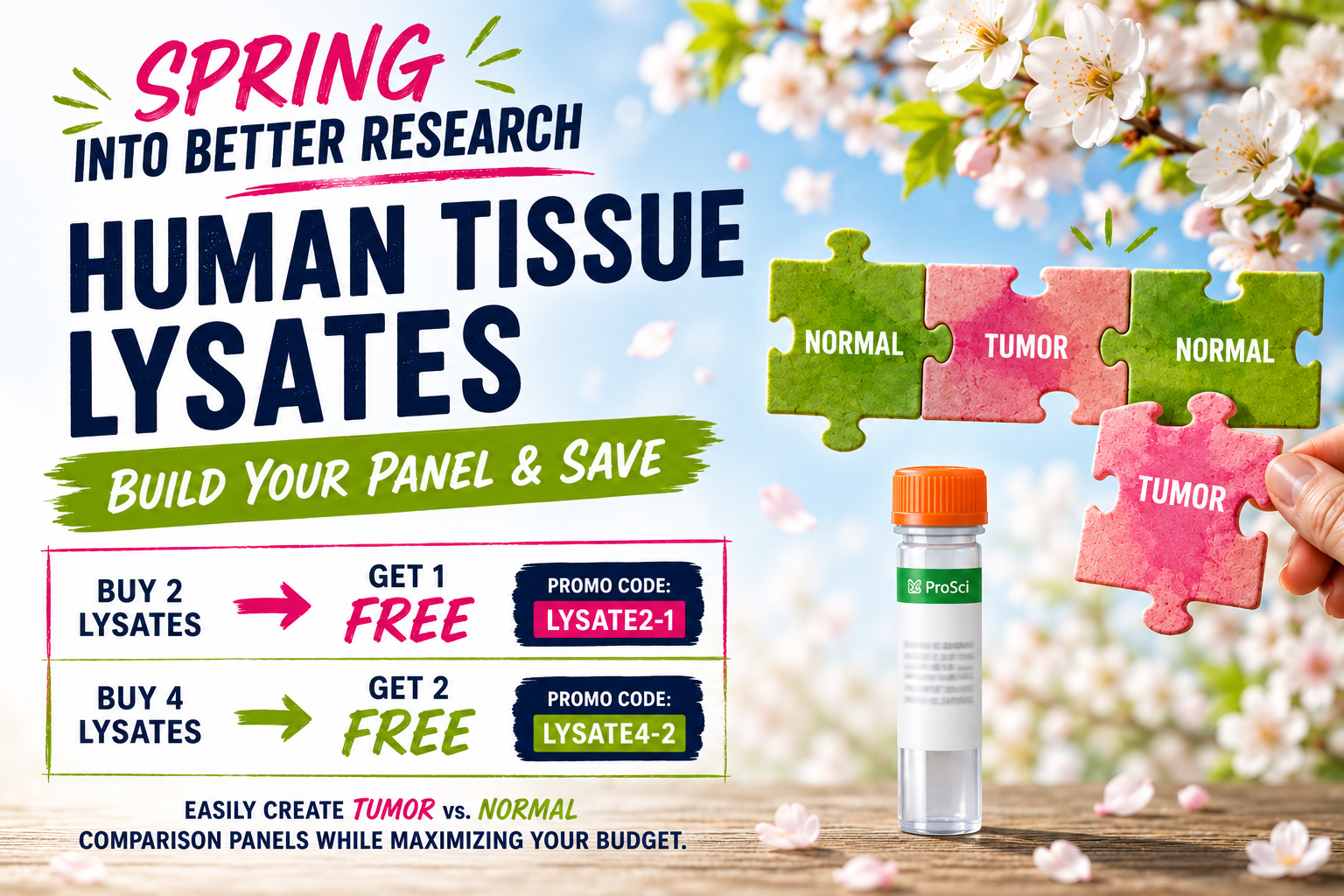 Human Tissue Lysates - Buy 2 Get 1 Free with code LYSATE2-1 or Buy 4 Get 2 Free with code LYSATE4-2
