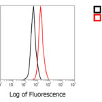 Flow Cytometry Validation of CXCR4 in Jurkat Cells 1X10^6/mL Jurkat cells were intracellularly stained with 2 μg/mL of CXCR4 antibody (red) or Rabbit IgG isotype control (black) at RT for 30 min, followed by PSFlo 488 conjugated goat anti-rabbit IgG secondary antibody staining (1:1000) at RT for 30 min. Cells were fixed with 4% PFA and permeabilized with 0.1% Triton X-100 in PBS.
