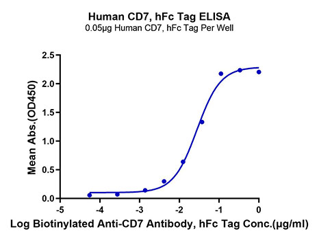 Immobilized Human CD7, hFc Tag at 0.5&mu;g/ml (100&mu;l/well) on the plate. Dose response curve for Biotinylated Anti-CD7 Antibody, hFc Tag with the EC<sub>50</sub> of 27.7ng/ml determined by ELISA.