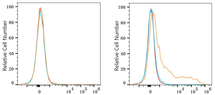 CD markers Archives | ProSci Antibodies