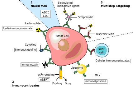 Cancer Immunotherapy