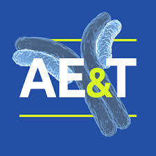 Antibody Engineering and Therapeutics