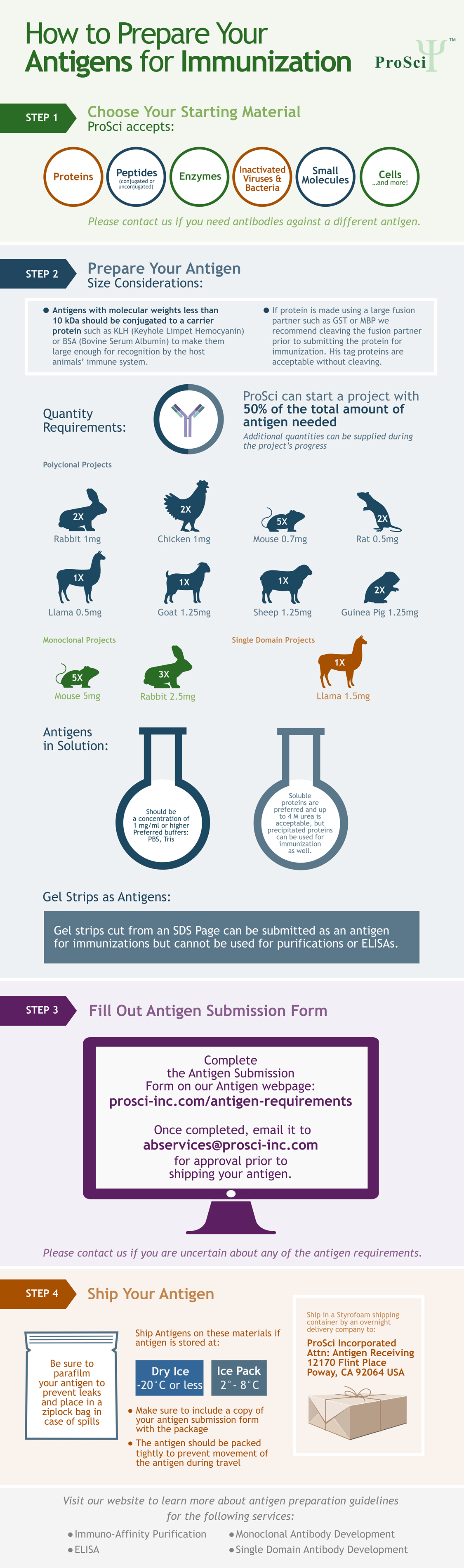Antigen Preparation Infographic