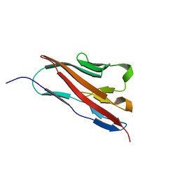 TIGIT Immune Checkpont