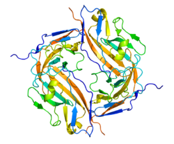 ProSci Blog Antibody Update