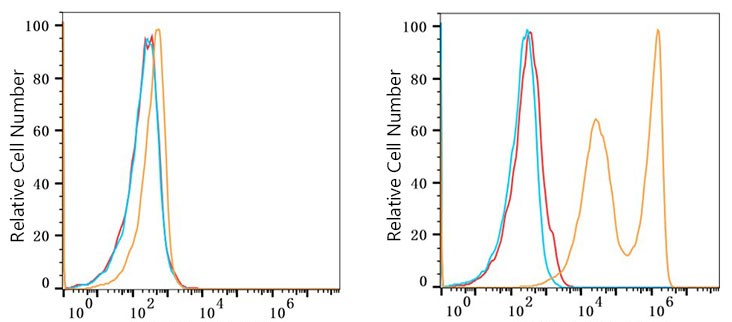 Flow cytometry: 1X10^6 293T-CD90.1 (Transfection,left) cells and 293T-CD90.2 (Transfection,right) cells were surface-stained with CD90.2 Rabbit mAb or Rabbit IgG isotype control, followed by Alexa Fluor® 647 conjugated goat anti-rabbit pAb staining. Non-fluorescently stained cells were used as blank control (red line).