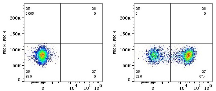 Flow cytometry: 1X10^6 Human PBMC were surface-stained with Rabbit IgG isotype control or CD5 Rabbit mAb, followed by PSFlo 647 conjugated goat anti-rabbit pAb staining. Cells in the lymphocyte gate were used for analysis.