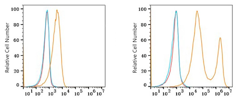Flow cytometry: 1X10^6 293F cells (negative control,left) and 293F cells (Transfection,right) were surface-stained with CD215/IL-15R alpha Rabbit mAb or PSFlo 594 Rabbit IgG isotype control. Non-fluorescently stained cells were used as blank control (red line).