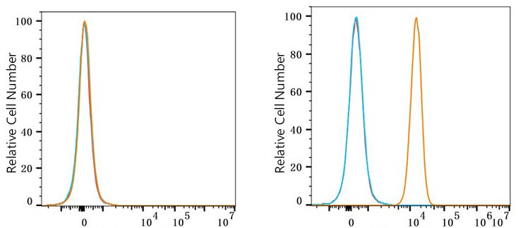 Flow cytometry: 1X10^6 HEL cells (negative control,left) and HeLa cells (right) were surface-stained with CD262/DR5/TRAILR2 Rabbit mAb or PSFlo 647 Rabbit IgG isotype control, followed by Alexa Fluor® 647 conjugated goat anti-rabbit pAb staining. Non-fluorescently stained cells were used as blank control (red line).