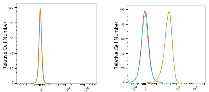 Flow cytometry: 1X10^6 HEL cells (negative control,Left) and REH cells(Right) were surface-stained with Flt3/CD135 Rabbit mAb(2μg/mL,orange line) or PSFlo 647 Rabbit IgG isotype control,followed by Alexa Fluor®647 conjugated goat anti-rabbit pAb staining. Non-fluorescently stained cells were used as blank control (red line).