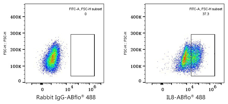 Flow cytometry: 1X10^6 THP-1 cells (untreated,left) and THP-1 cells (treated with 100ng/ml TPA for 24 hours and 5 ug/mL LPS for 7 hours,right) were intracellularly-stained with IL8 Rabbit mAb, followed by PSFlo 488 conjugated goat anti-rabbit pAb staining..