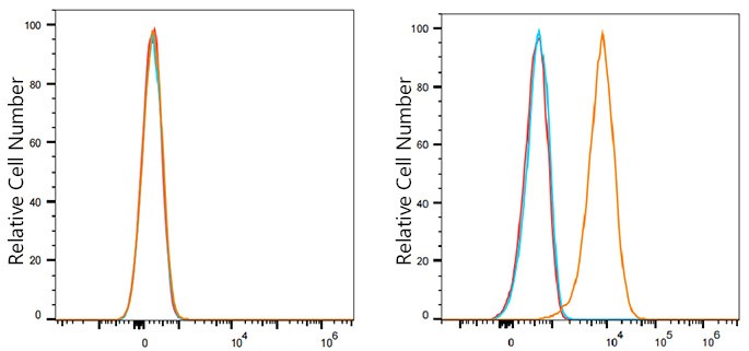 Flow cytometry: 1X10^6 MOLT-4 cells (negative control,left) and HEL cells (right) were surface-stained with GP6/GPVI Rabbit mAb or PSFlo 594 Rabbit IgG isotype control, followed by PSFlo 594-conjugated Goat Anti-Rabbit IgG (H+L) staining. Non-fluorescently stained cells were used as blank control (red line).
