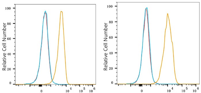 Flow cytometry: 1X10^6 Neuro-2a cells (Low Expression,left) and NIH/3T3 cells (right) were surface-stained with CD130/gp130 Rabbit mAb or PSFlo 647 Rabbit IgG isotype control, followed by Alexa Fluor® 647 conjugated goat anti-rabbit pAb staining. Non-fluorescently stained cells were used as blank control (red line).