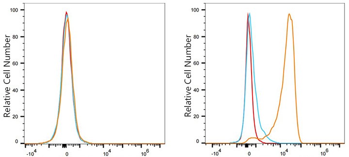 Flow cytometry: 1X10^6 HAP1 cells (negative control,left) and T-47D cells (right) were surface-stained with Nectin-4/PVRL4 Rabbit mAb or PSFlo 647 Rabbit IgG isotype control, followed by Alexa Fluor® 647 conjugated goat anti-rabbit pAb staining. Non-fluorescently stained cells were used as blank control (red line).