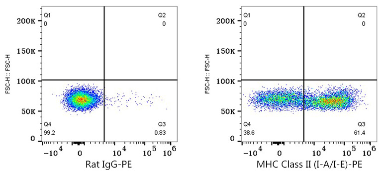 Flow cytometry: 1X10^6 C57BL/6 mouse splenocytes were surface-stained with Rat IgG isotype control (2 μg/mL,left) or MHC Class II (I-A/I-E) Rat mAb ,followed by PE Goat anti-rat pAb staining.